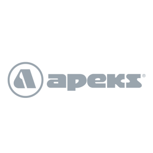 Apeks logo