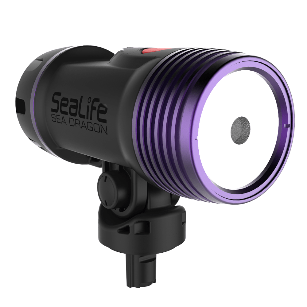 Sealife Sea Dragon Fluoro-Dual Beam Light Kit 